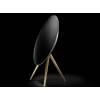 Bang olufsen beoplay a9 опт