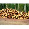 Продаем кругляк лиственницы, кедра со склада.