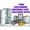 Ремонт холодильников на дому в г ставрополе