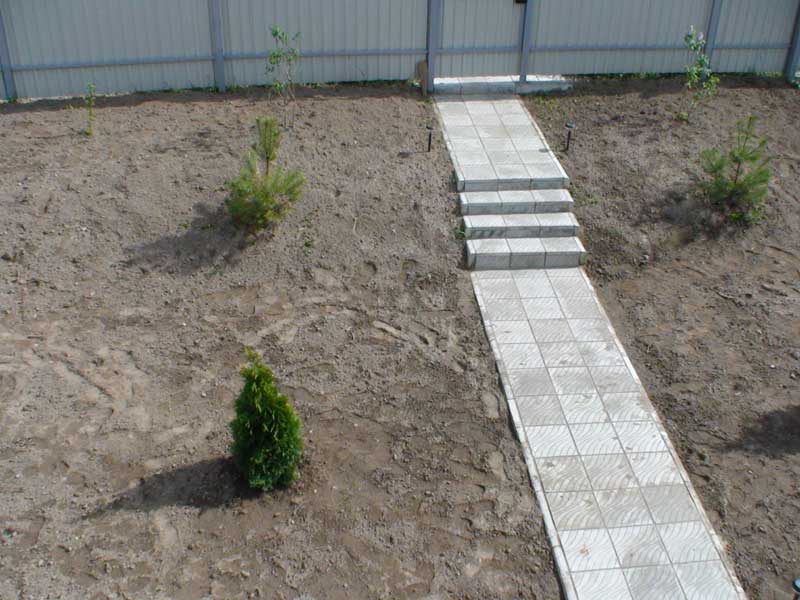 Обсуждение дачи и прочих мероприятий - 3