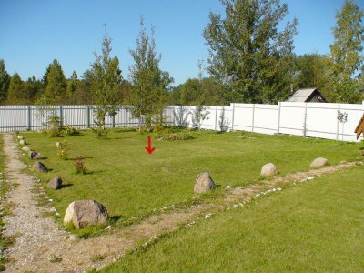 Электричество против дикого зверя... - lug