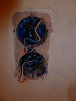 вот розетеа - P1000755.JPG