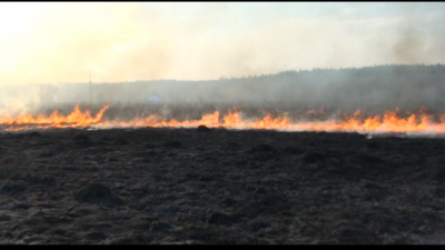 Лето 2010 - NVE00001