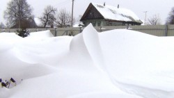 Чудеса природы - DSC00409