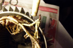 Подключение 3х фазного двигателя 380в в однофазную сеть 220в - P1010190.JPG