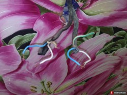 Проходной выключатель на кухне! - WP_000017